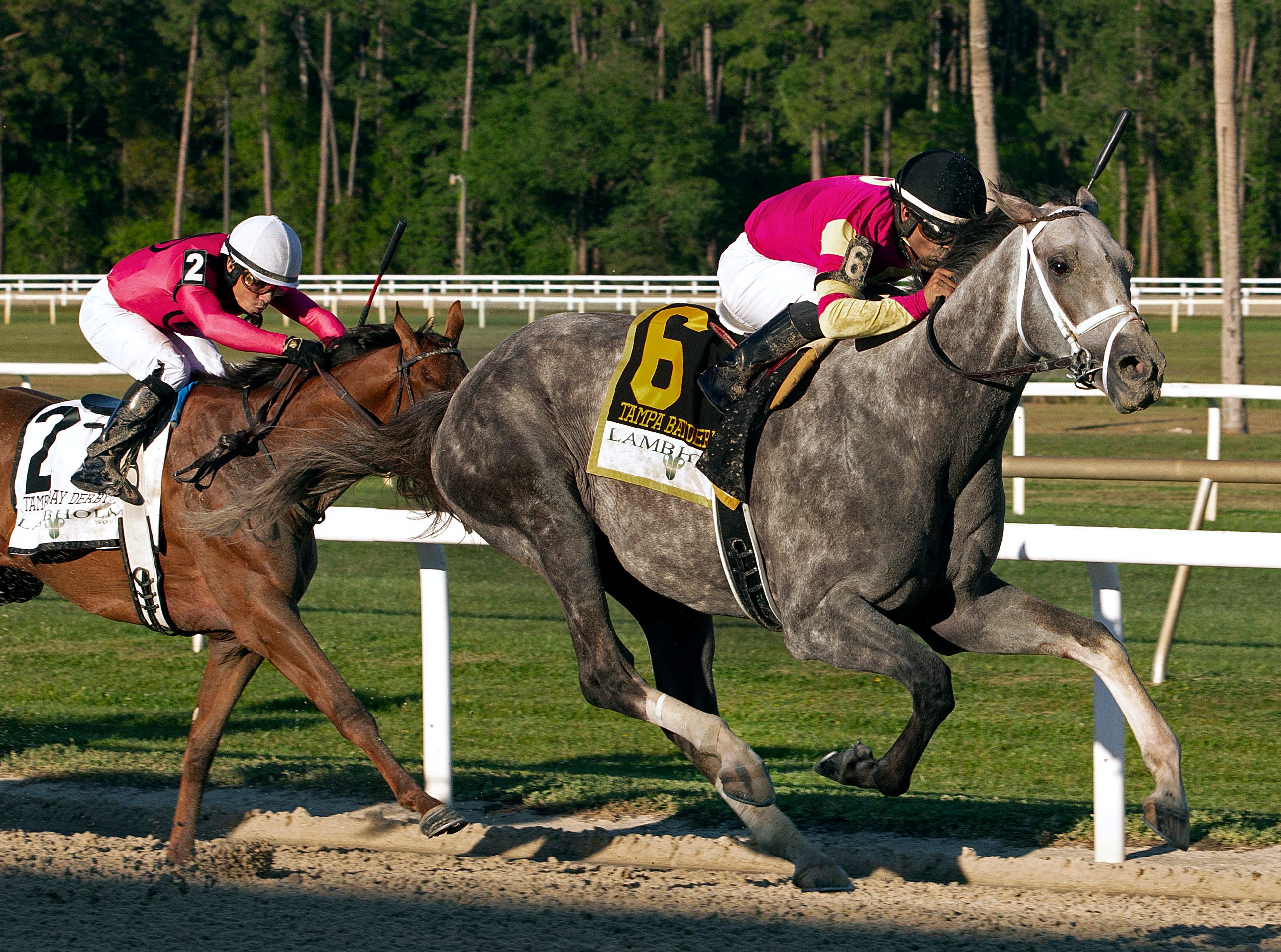 Road to 2023 Kentucky Derby Tampa Bay Derby analysis